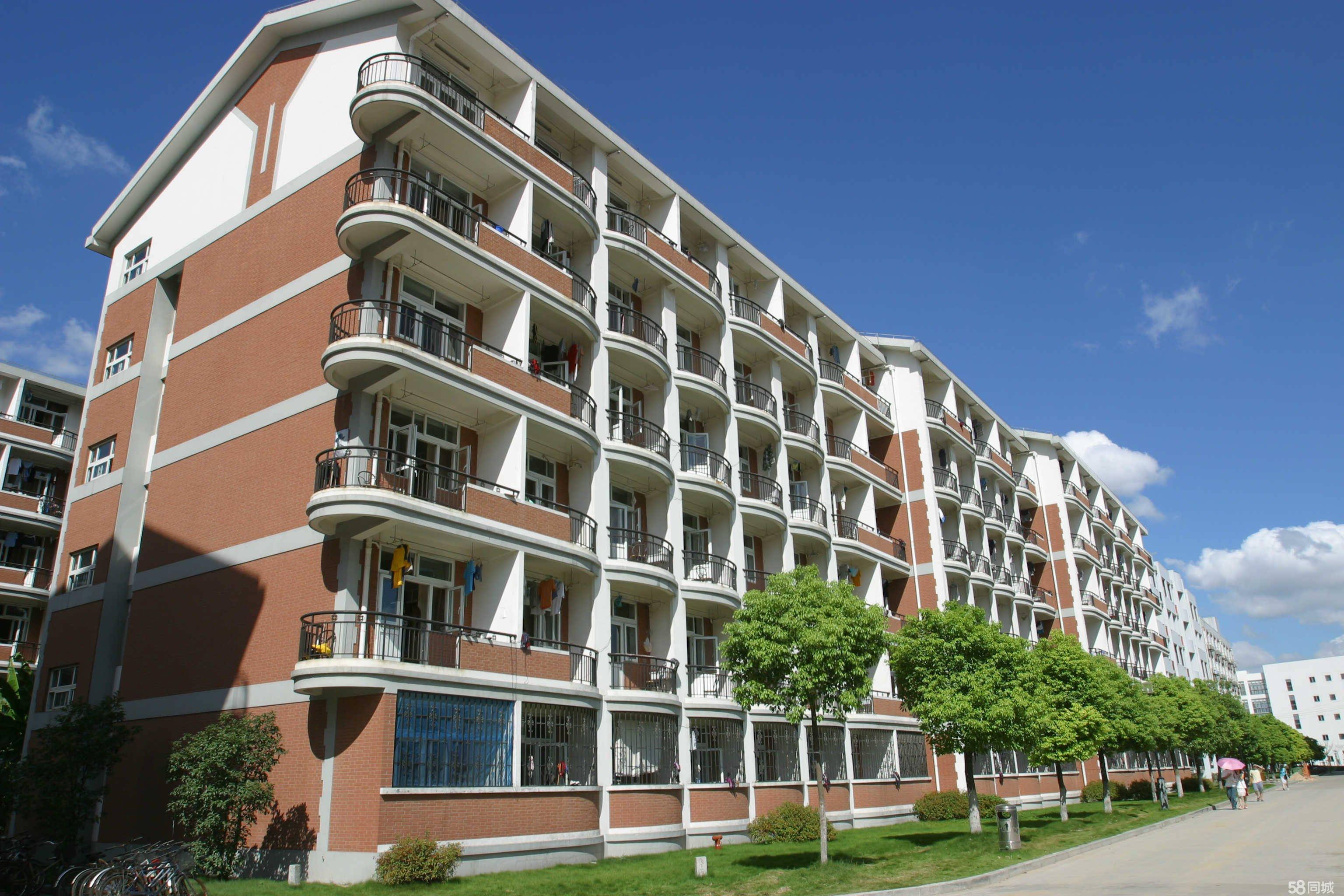 上海市同济大学公寓